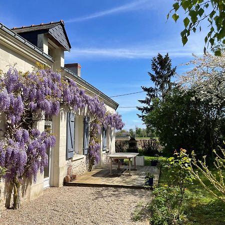 Chambres D Hotes Avec Piscine Et Spa La Foliere Saumur Villebernier Екстер'єр фото