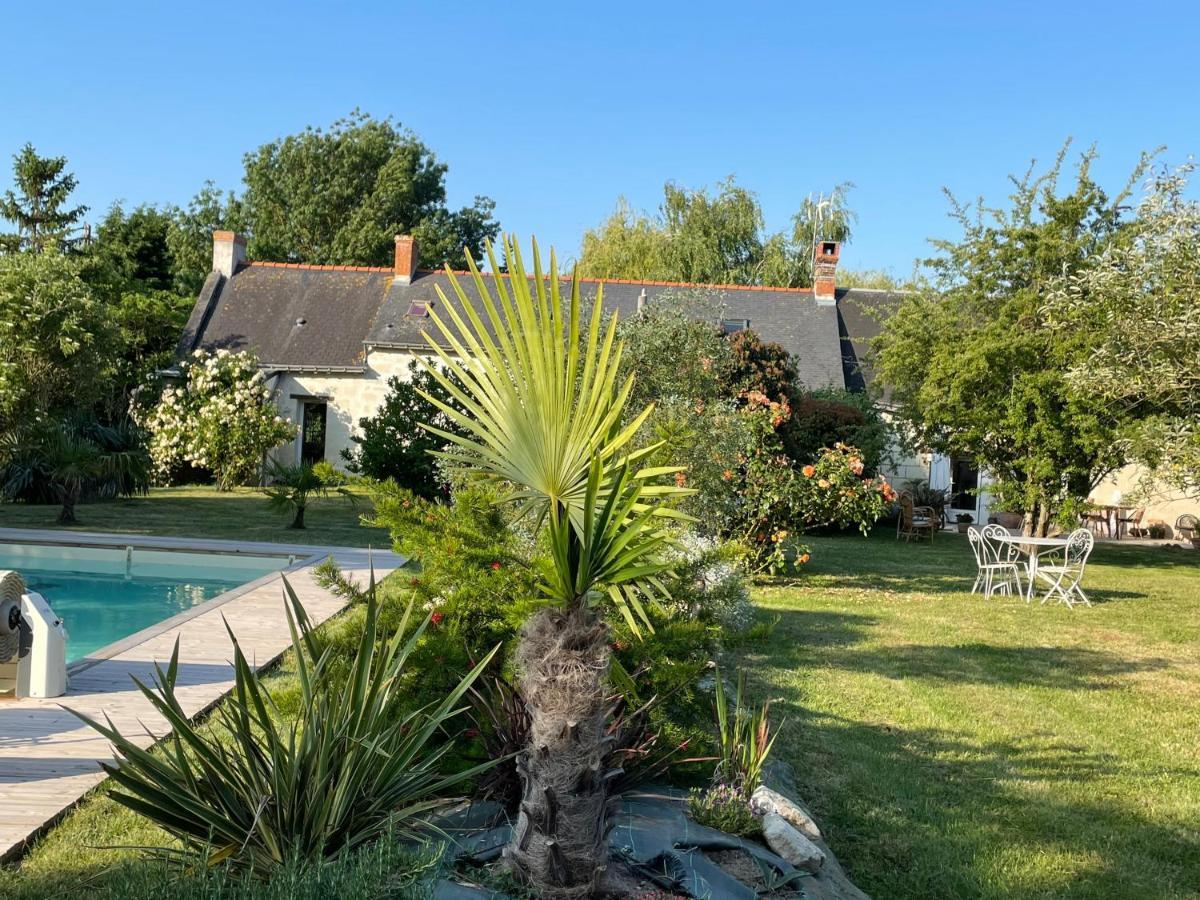 Chambres D Hotes Avec Piscine Et Spa La Foliere Saumur Villebernier Екстер'єр фото